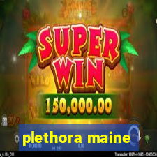 plethora maine